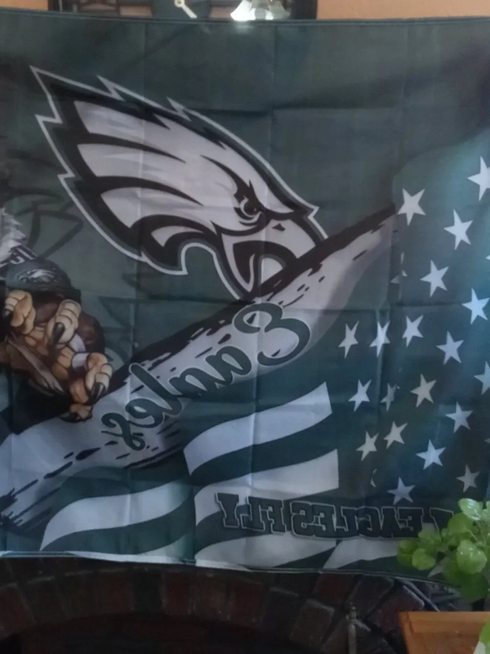 Philadelphia Eagles Stars & Stripes & Steroids NFL 3X5 Feet Flag Banner